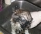 Zoe getting a bath