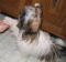 Zoe shaking hands