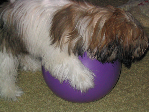 Zoe with her Nemo balloon