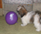 Zoe with her Nemo balloon